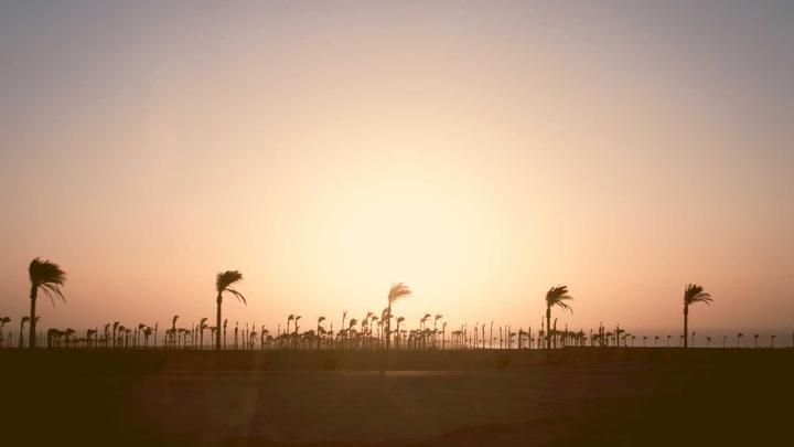 vintage convertible parked on a tropical beach with stacked luggage, golden hour --ar 16:9